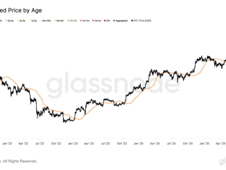 $110,800 Is Bitcoin’s New Key Defense Line: Glassnode