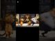 AI animal cat 😸 for beginners #foryou #video #ai #