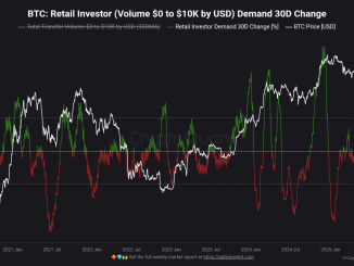 Bitcoin Retail Investors Leaving the Market: CryptoQuant Analyst