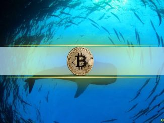Historical Data Hints at Upward Price Momentum