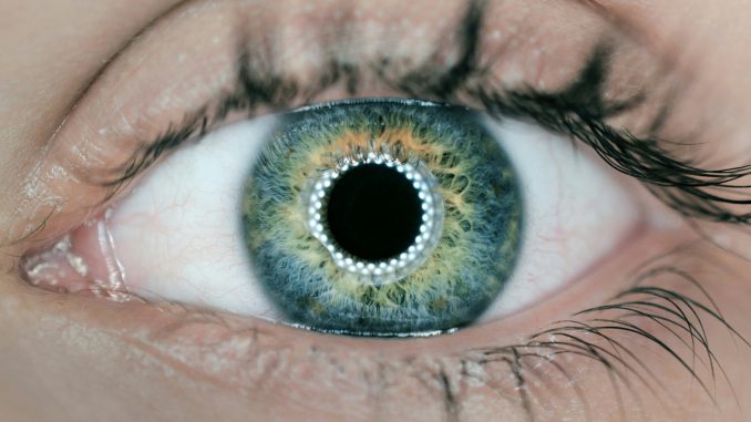 SoundHound is giving its AI the power of sight