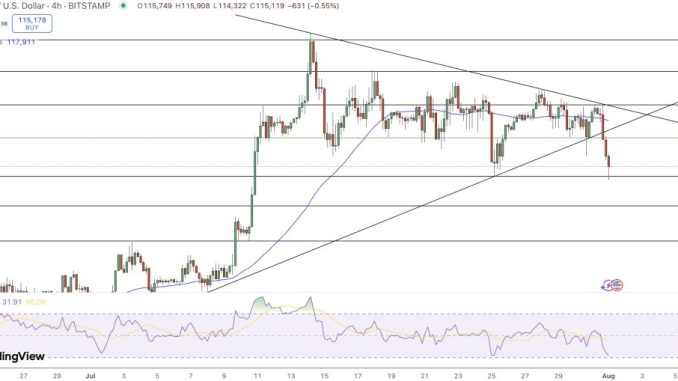Trump Backs $23B Bitcoin Plan as BTC Dips Below $116K: Is $110K Next?
