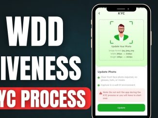 2025 WDD Mining Tutorial: How to Ace Human Liveness Verification in KYC Process