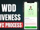 2025 WDD Mining Tutorial: How to Ace Human Liveness Verification in KYC Process
