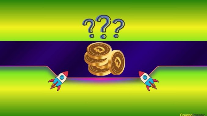 Want to Buy the Dogecoin Dip? This Is Your Moment (Analyst)