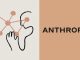 Anthropic Unveils Claude 4: Setting New AI Standards