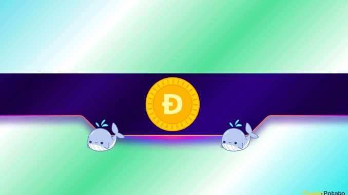 Are Whales Fueling a Rally?