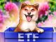 Grayscale DOGE ETF Debut Volume Comes in Below Expectations