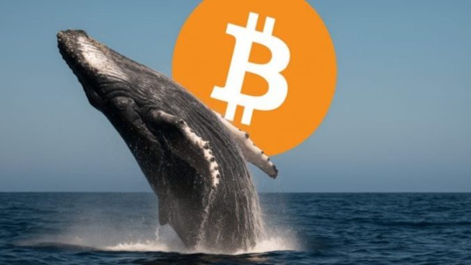 Bitcoin OG deposits 5,152 BTC worth $445M on Binance
