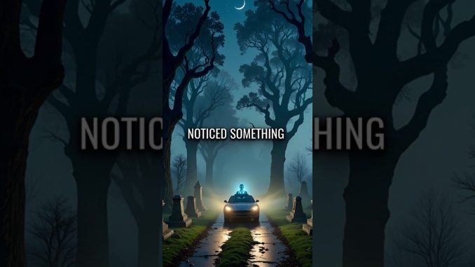Dead Taxi Driver AI Guides Passengers to Their Death Locations