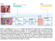 Jina AI Releases Jina-VLM: A 2.4B Multilingual Vision Language Model Focused on Token Efficient Visual QA