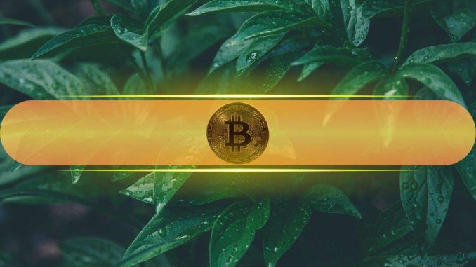 Bitcoin Poised for Short-Term Rally as Price Dips Below $101K Miner Cost, Says Analyst