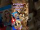 Chihuahua Dognapped by 'Cougar' Fake Ai News #aishorts