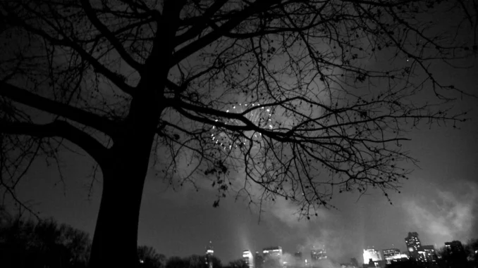 First Insight brings conversational AI in retail