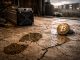 How solo Bitcoin miners hit 22 blocks hit in 12 months as another hit the jackpot this week