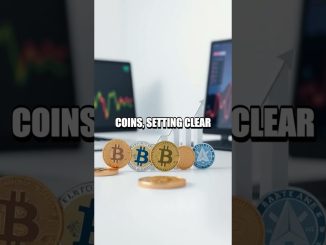 A Calm Launch into Crypto Investing for Beginners