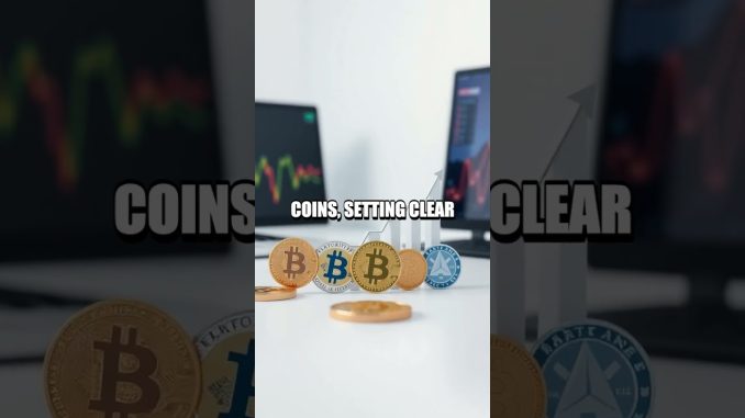 A Calm Launch into Crypto Investing for Beginners