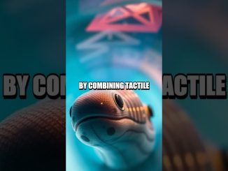 The Soft Eel Map of Hidden Pipelines