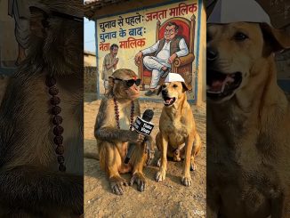 आम जनता आम आदमी #comedy #funny #dog #aamaadmi #animals #ai #news