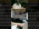 July 27 latest AI news