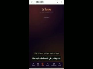 Why ROX Coin Could Be the Next Big Telegram Mining Project