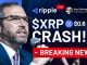 🚨 XRP CRASH ALERT! Brad Garlinghouse's Latest Message | XRP Price Prediction