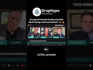 Are government funds killing tech innovation? #cryptonews