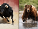 Bitcoin Price Predictions Pit $400K Bulls Against $10K Bears