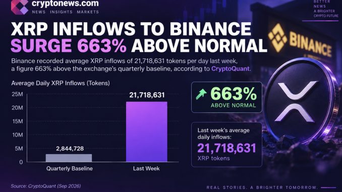 XRP whale activity surged as Binance inflows rose 663%, but reserve data points to market repositioning rather than selling the news.