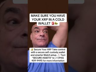 Crypto Beginner's Guide to Massive XRP Gains